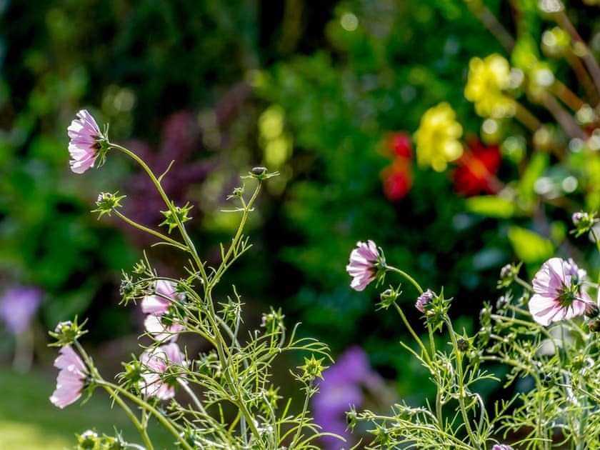 Garden | Sea Fever, Scarborough