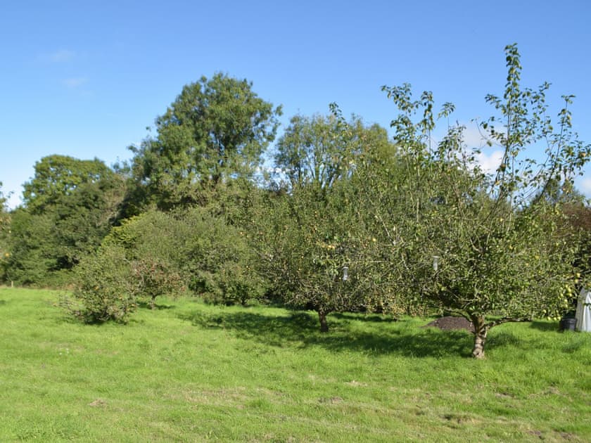 Surrounding area | Troed Y Rhiw, Aberporth
