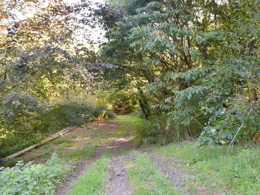 Surrounding area | Troed Y Rhiw, Aberporth