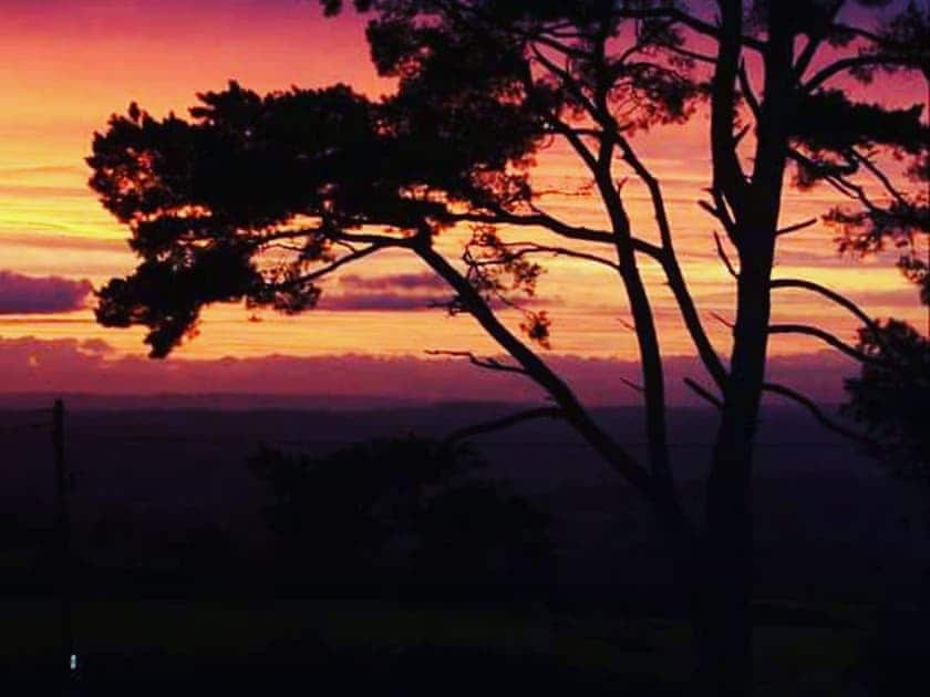 View | Shepherds Knapp Lodge - Shepherds Knapp Cottages, Axminster