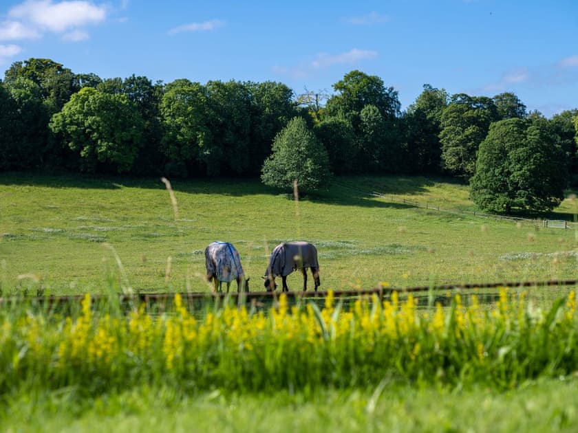 Surrounding area | Henge Estate, Shrewton, near Salisbury