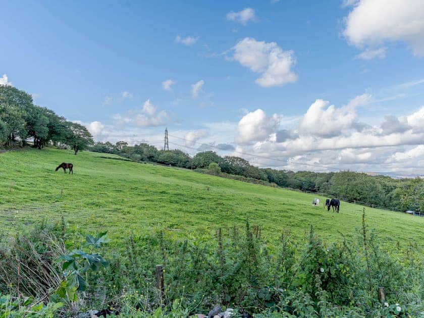 Surrounding area | The Cottage - Tor Y Graig, Neath