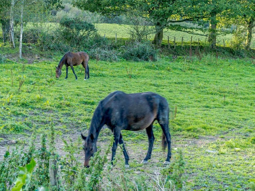 Surrounding area | The Cottage - Tor Y Graig, Neath
