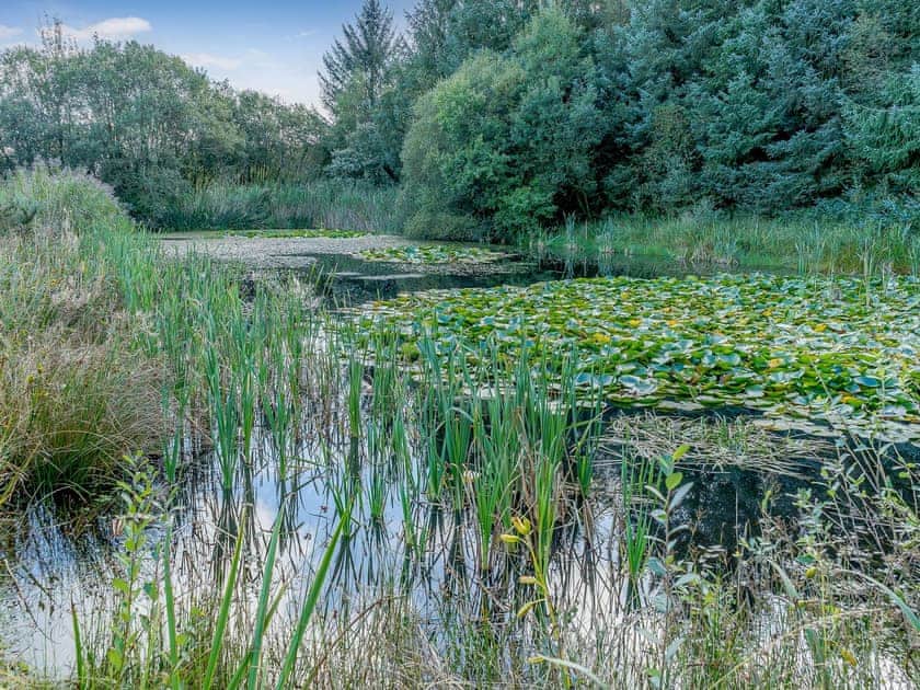 Surrounding area | The Cottage - Tor Y Graig, Neath