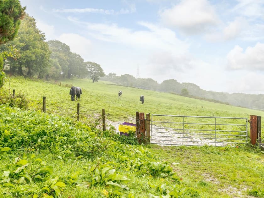View | The Barn - Tor Y Graig, Neath