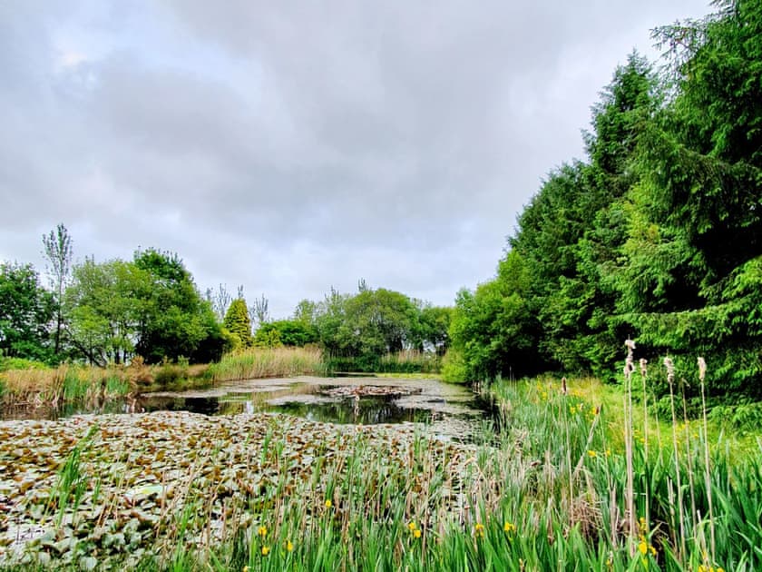 Surrounding area | The Barn - Tor Y Graig, Neath