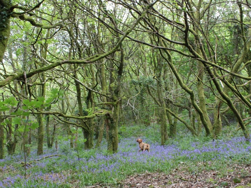 Surrounding area | The Barn - Tor Y Graig, Neath