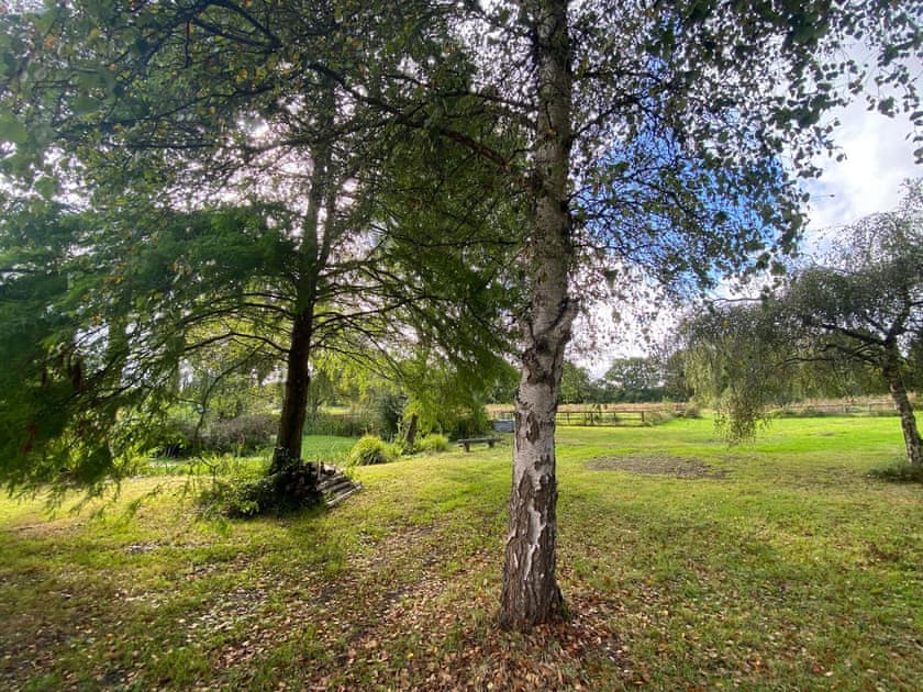 Garden and grounds | Dairy Farm, Romsey, near Brook