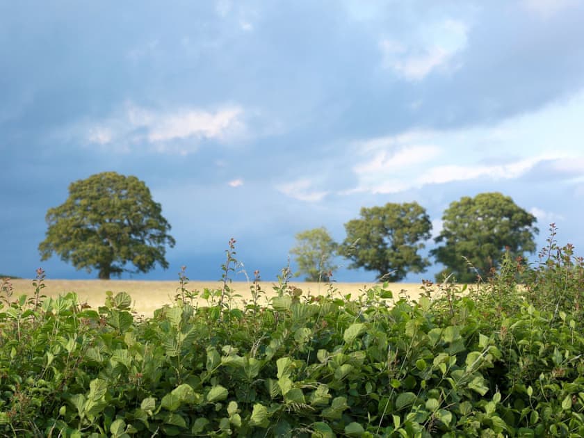 Country Views and walks from around Midknowle Farm and Barns | The Barn - Midknowle Farm Cottages, South Barrow, near Yeovil