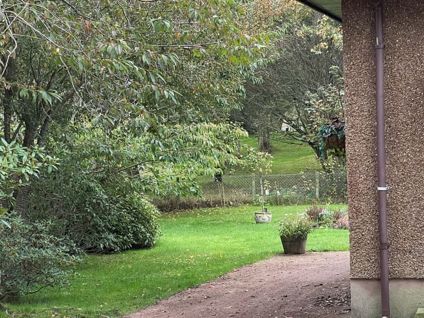 Garden and grounds | Drummond Neuk, Loch Flemington