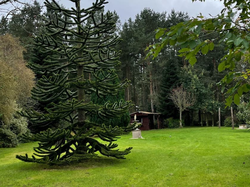 Garden and grounds | Drummond Neuk, Loch Flemington