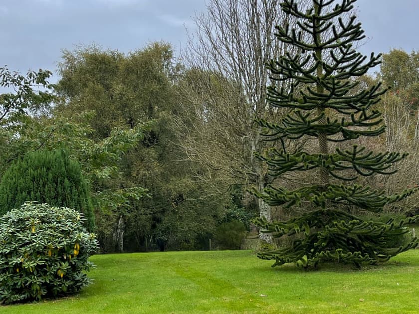 Garden and grounds | Drummond Neuk, Loch Flemington