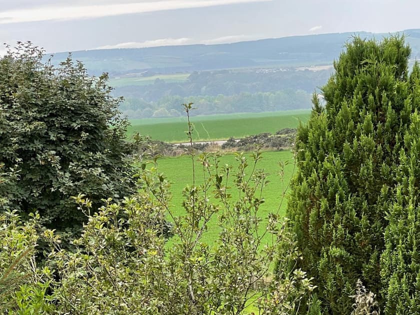 Garden and grounds | Drummond Neuk, Loch Flemington