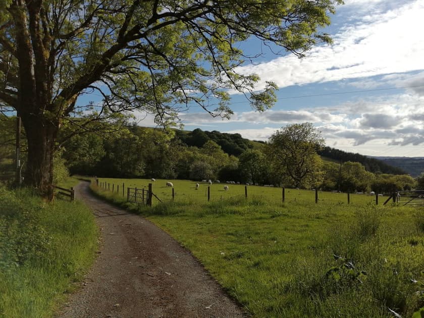 Driveway | Pengraig, near Tregaron
