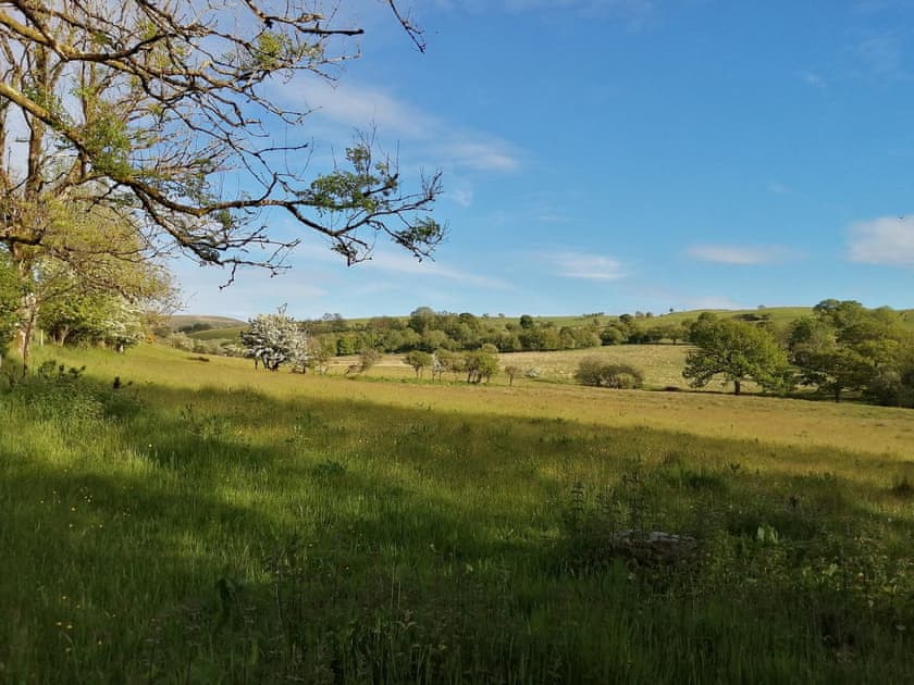 View | Pengraig, near Tregaron