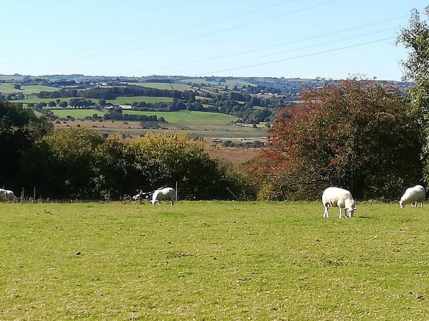 View | Pengraig, near Tregaron