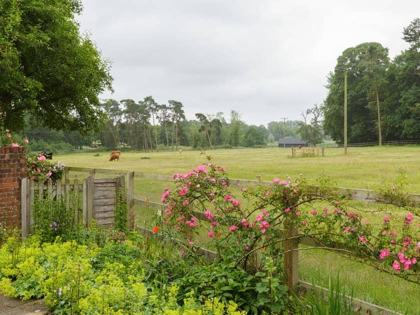View | Covert Cottage, Diss