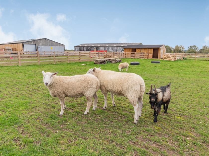 Local attraction | The Old Farmhouse - Brookfields Holiday Farm, Church Broughton, near Derby