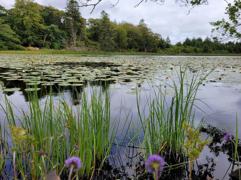 Surrounding area | Ashley Cottage, Bowmore