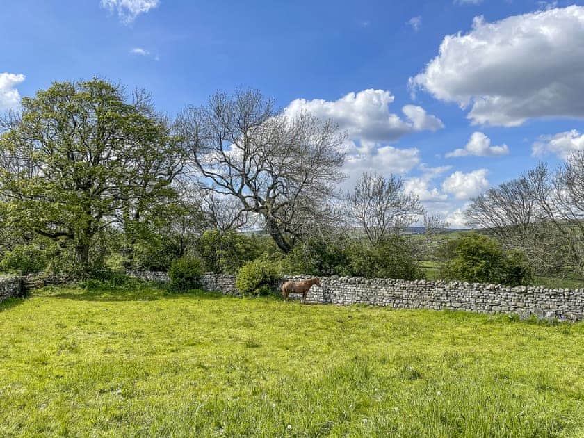 Very Large Garden Paddock  | Glen Cottage, Mickleton, near Barnard Castle
