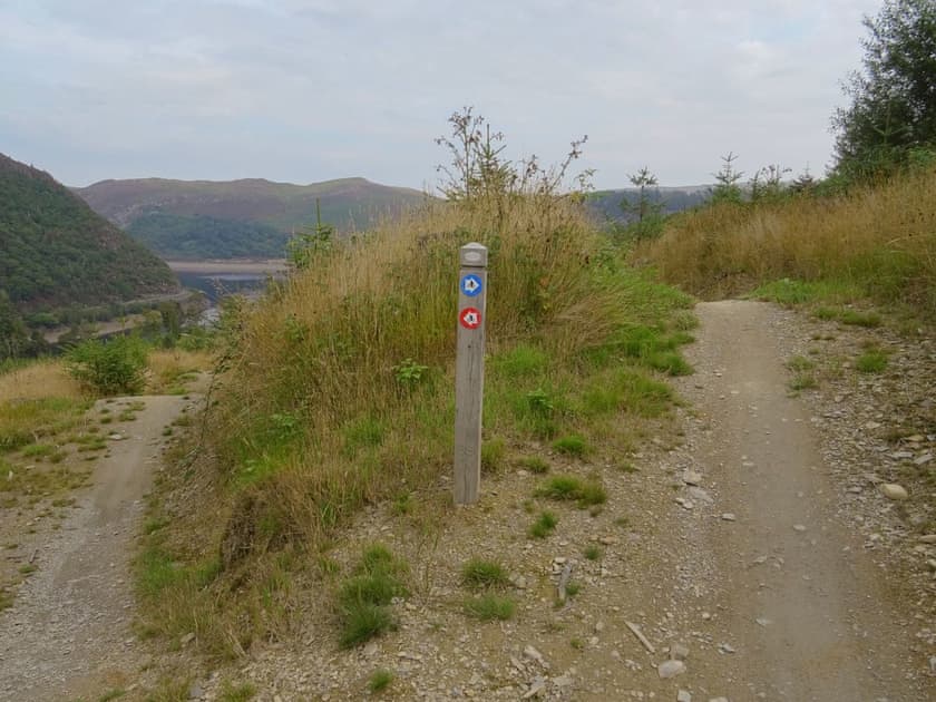 Elan Valley - Nantgwyllt Mountain Bike Trails | Glan Wye, Rhayader
