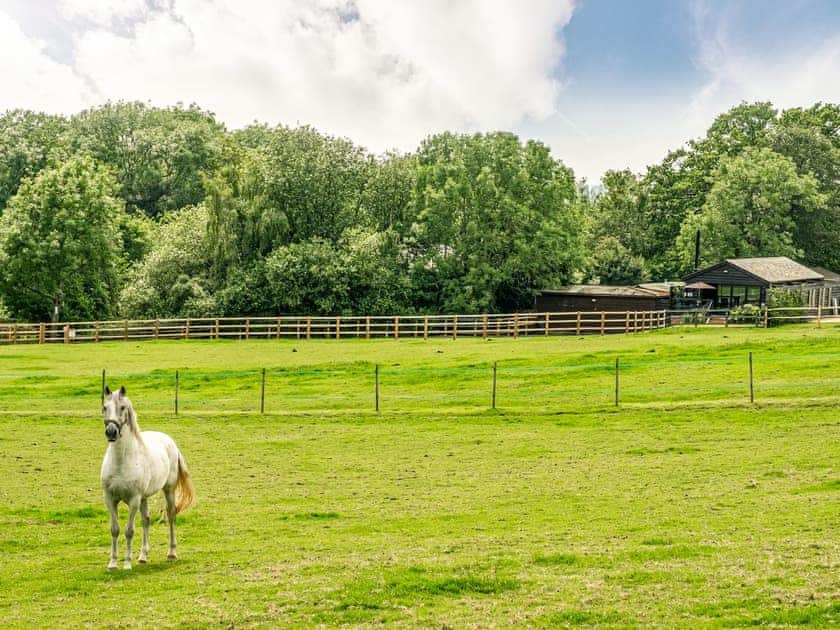 The Haybarn, Ewhurst