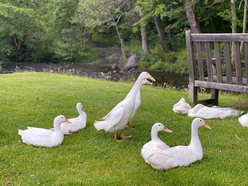 Garden and grounds | Brook House 1 - Brook House Cottage Holidays, Bassenthwaite
