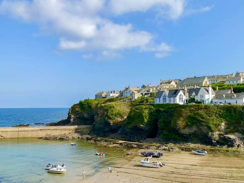 Port Isaac | Sea Thrift, Port Isaac