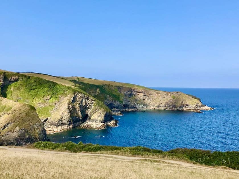 Port Isaac | Sea Thrift, Port Isaac