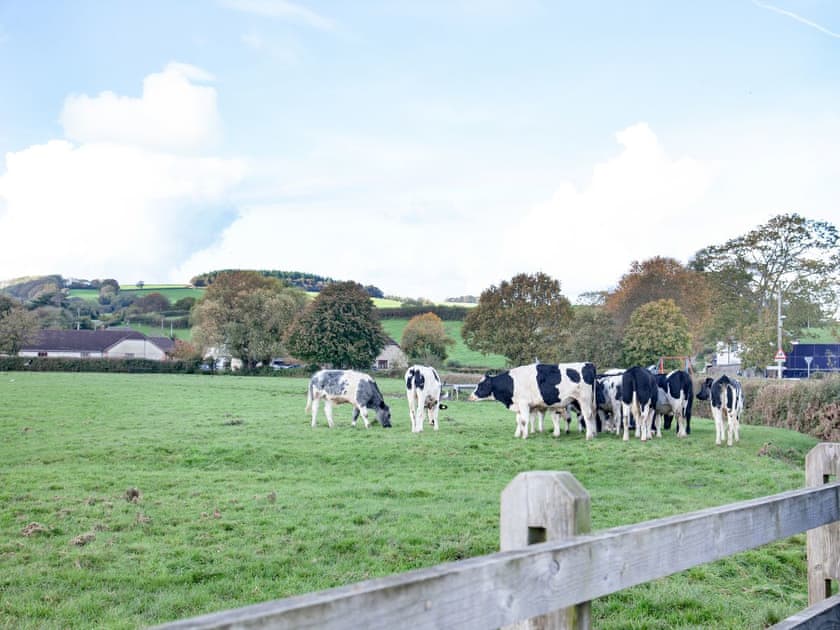Surrounding area | Harvey Cottage, Colyton, near Lyme Regis