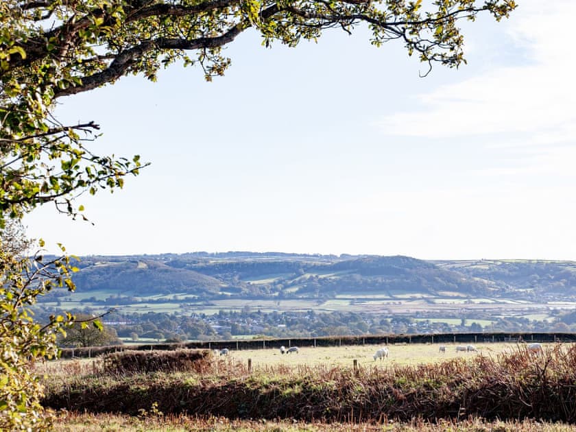 Surrounding area | Harvey Cottage, Colyton, near Lyme Regis