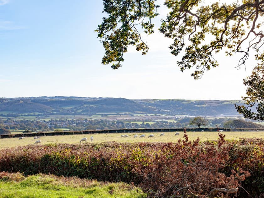 Surrounding area | Harvey Cottage, Colyton, near Lyme Regis