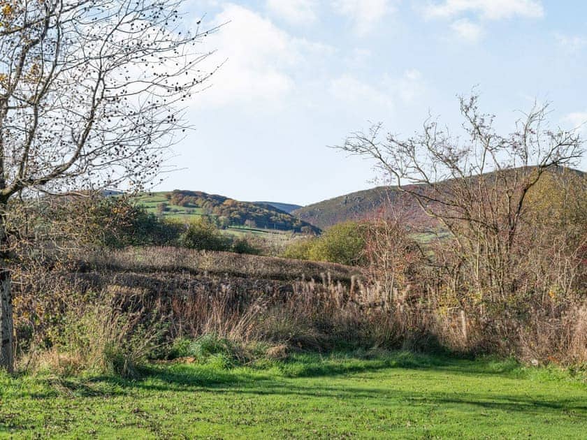Garden | Cuckoo Hill Lodge, Rhayader