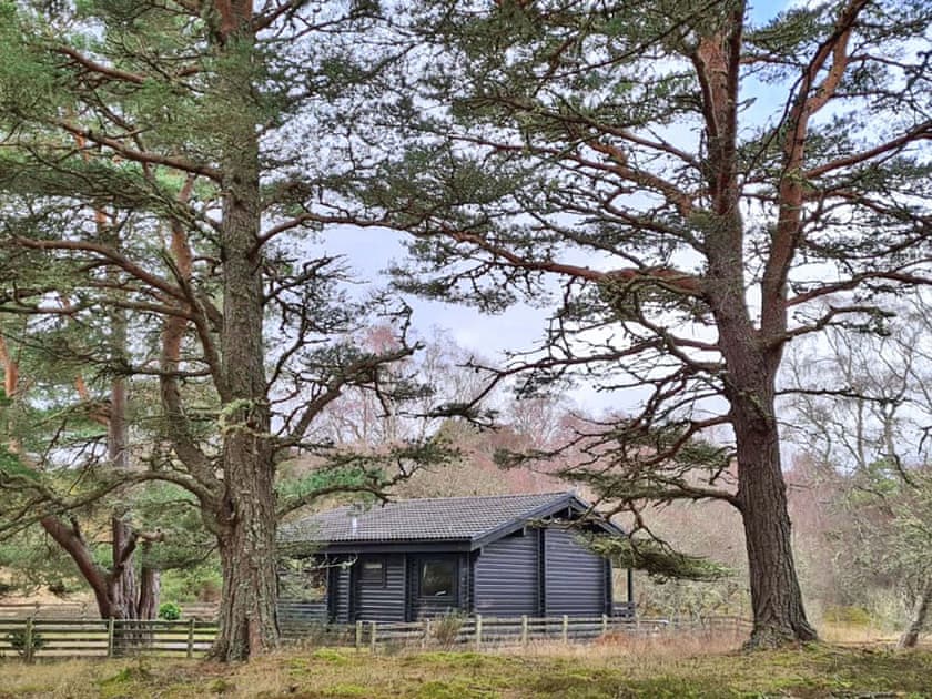 Exterior | Lochside Log Cabin, Brora