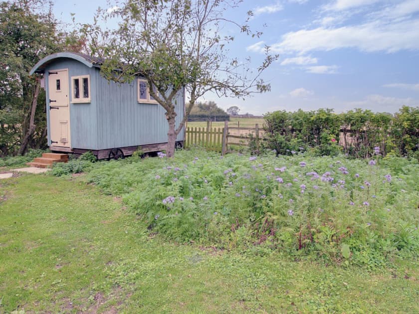 Garden | Curlew Cottage, Thorpe St Peter, near Skegness