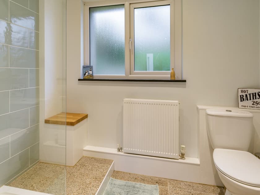 Shower room | Pwll Farmhouse, Llanllawddog, near Brechfa