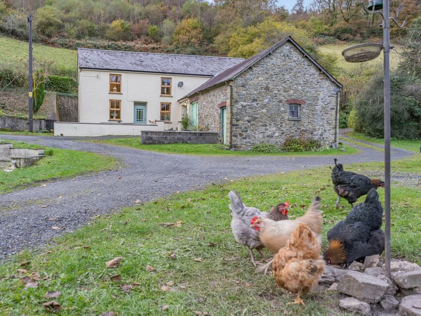 Garden and grounds | Pwll Farmhouse, Llanllawddog, near Brechfa