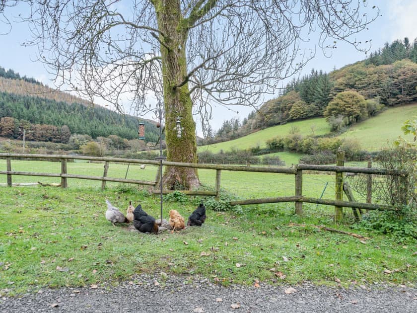 Garden | Pwll Farmhouse, Llanllawddog, near Brechfa