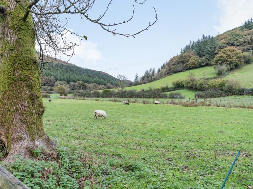View | Pwll Farmhouse, Llanllawddog, near Brechfa