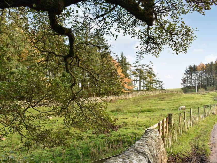 Surrounding area | Burnside Cottage, Bardon Mill, near Haltwhistle