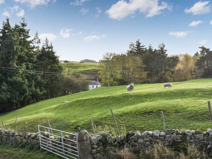 Surrounding area | Burnside Cottage, Bardon Mill, near Haltwhistle