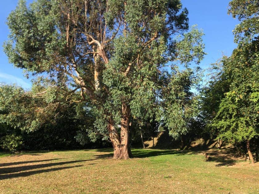 Garden and grounds | The Hen House, Goodwood