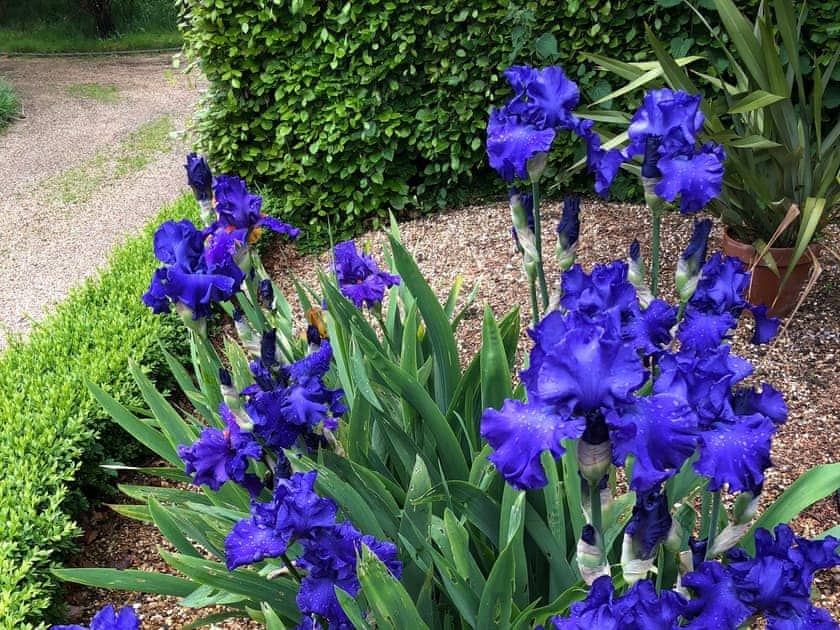 Garden and grounds | The Hen House, Goodwood