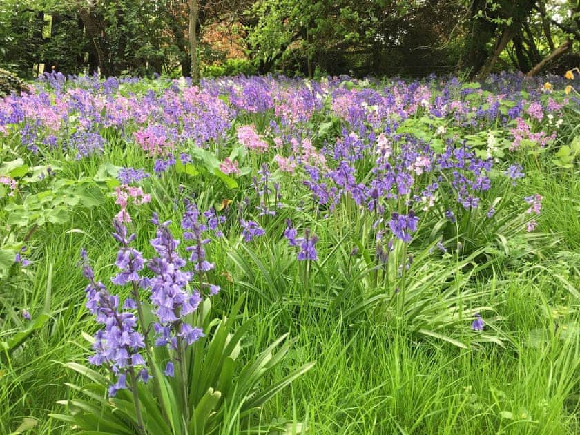 Garden and grounds | The Hen House, Goodwood