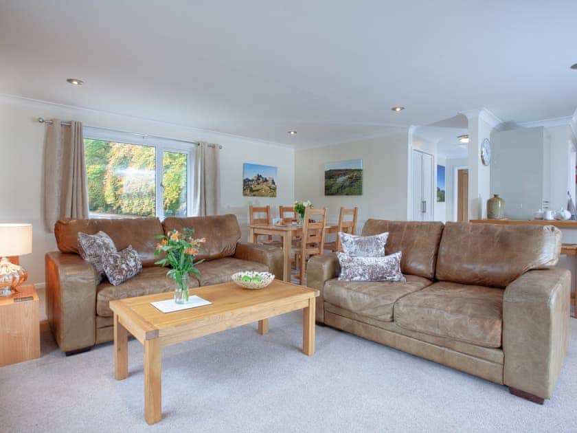 Open plan living space | Over Lake Apartment - Indio Lake, Bovey Tracey
