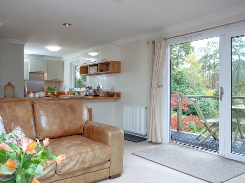 Open plan living space | Over Lake Apartment - Indio Lake, Bovey Tracey