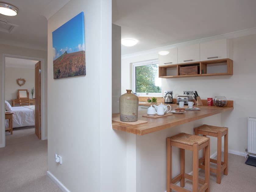 Open plan living space | Over Lake Apartment - Indio Lake, Bovey Tracey