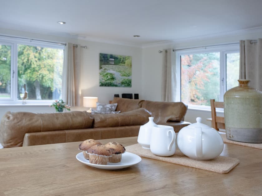 Open plan living space | Over Lake Apartment - Indio Lake, Bovey Tracey
