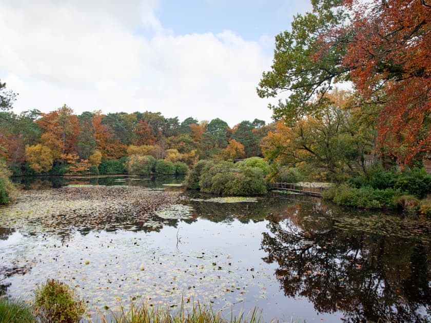 View | Over Lake Apartment - Indio Lake, Bovey Tracey