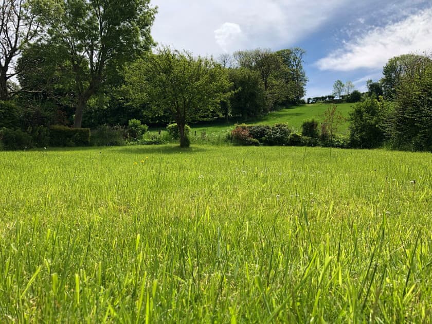 Surrounding area | Peaceful Cottage, Blandford Forum